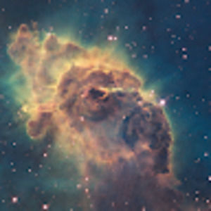 Meet your Posher, Joshua